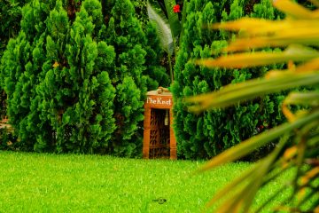 DSC_6883 DSC_6883